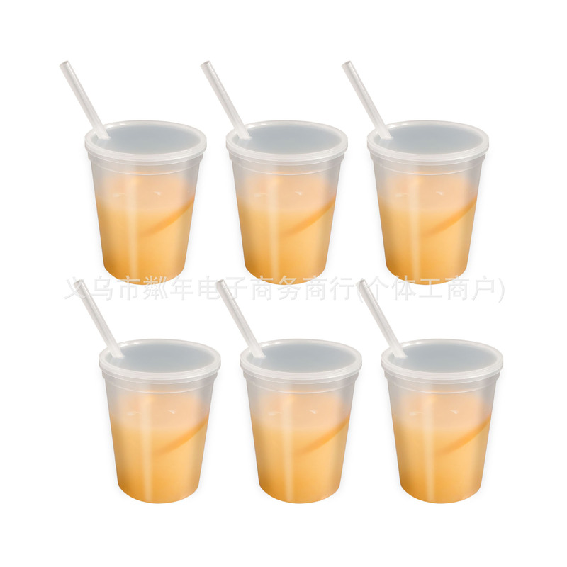 Reusable Plastic Cup with Straw and Lid Ice Coffee Cold Drink Travel Water Bottle Party Birthday Use Cups Reusable Plastic Cup with Straw and Lid Ice Coffee Cold Drink Travel Water Bottle Party Birthday Use Cups