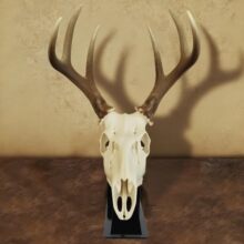 ���R�d¹�^��֧�܌�¹���^�ǔ[��֧�����C�����^���bܔ[��֧��