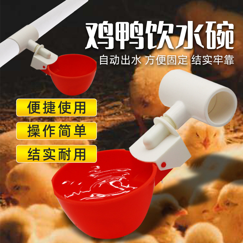 Pollo bebedero nuevo tipo pollo alimentador automático de agua aves de corral tres vías bebedero pollo agua potable equipo de cría de pollo
