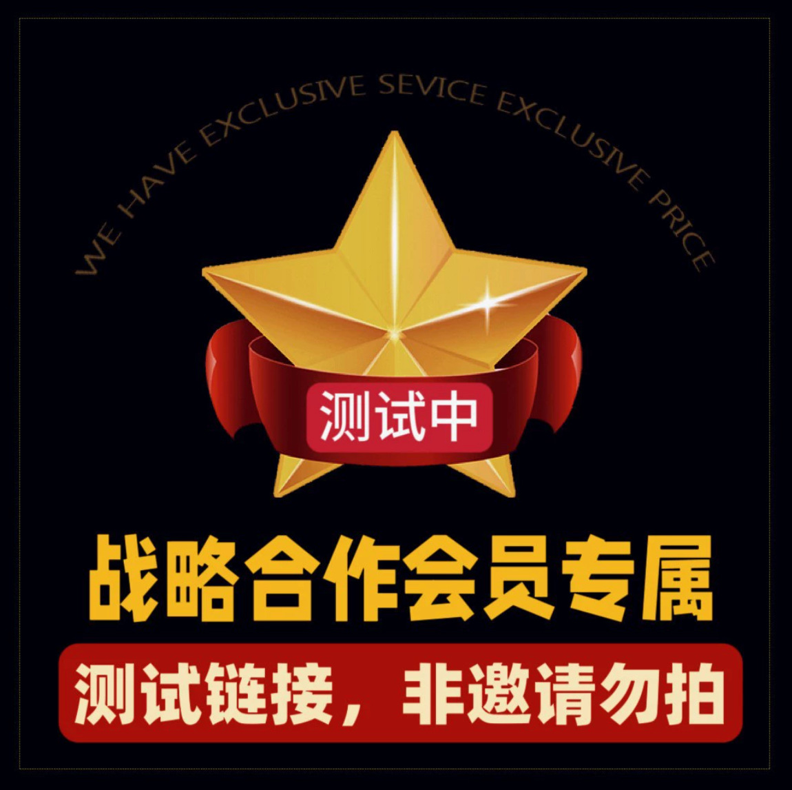 【008】战略合作会员专属测试链接会员专享（非请勿拍）