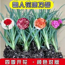 ϿܰСļ_ߗŲͥԺBûܷN