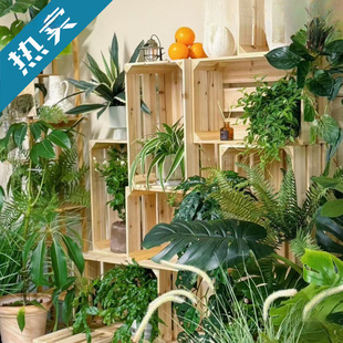 ��ľ�ռ{�����ֲ��ľ���b��ж��^ľ�������ľ����ˮ��չʾ��