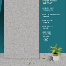 ����ͨ���ƹ�750x1500ˮĥʯ��������ģ�߷¹�ש�����ذ�שǽש