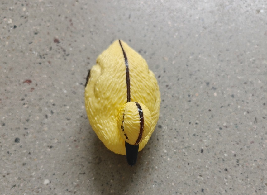 微信截图_20250526094811