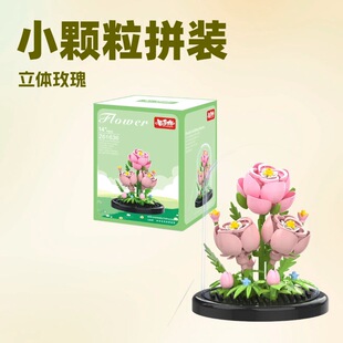 �Ƕ�ƴ���ݘ���΢�w�������eľ���eľС����ϵ��ƴ�ӷeľ���ƴ�D