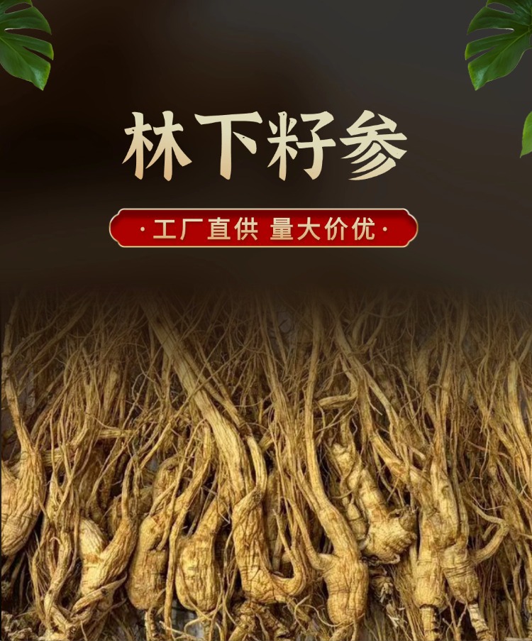 Forest Grown Ginseng Seeds 18-20 Years Dried Root Slices for Cooking and Decoction overview