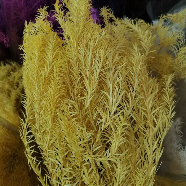 Drifting yellow