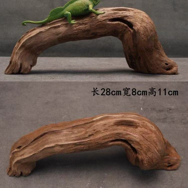 爬宠攀爬木鬃狮蜥晒台捷角守宫蛇躲避饲养箱造景天然枯木树枝沉木|undefined