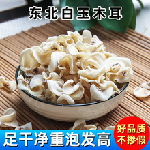 �|�������؛�L��ɽ��؛С����ö���ɢ�b���ױ�ë���