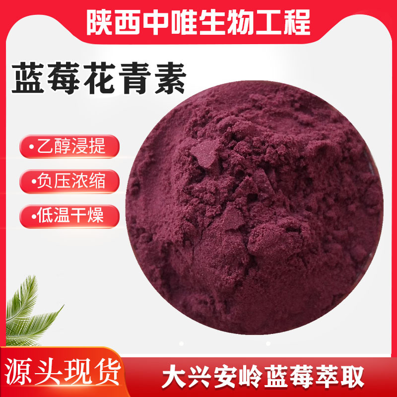 蓝莓花青素25%中国越橘花色苷低温浸提萃取花色素中欧法100g袋