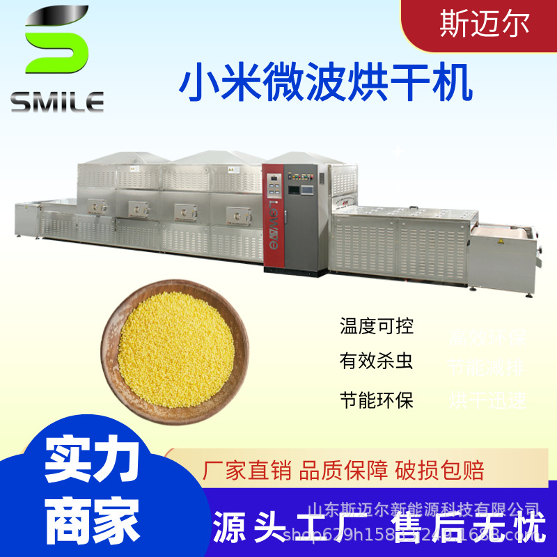 隧道式微波小米烘干杀虫卵一体机 营养米干燥脱水设备