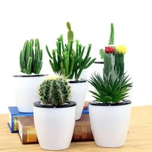 ����ֲ������������ֲ���������k���҃������������ֲ�ﻨ������