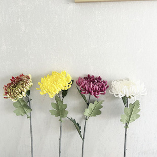 ����ջ� PUֲ�q �f�۾� Ұ�� ��c�Ƶ��껨�Ҿ��bٻ�