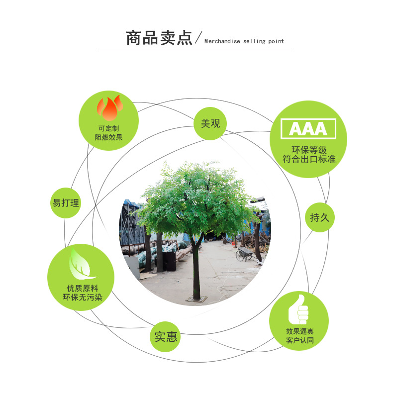 2榆树_02.jpg