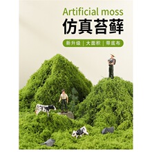 ����̦�\΢���^����̦�@�־��^��Ƥ��ƺ�쾰�z������ֲ���G���쾰