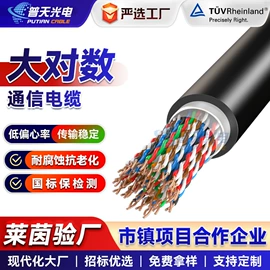 网络线;控制电缆;其他电缆