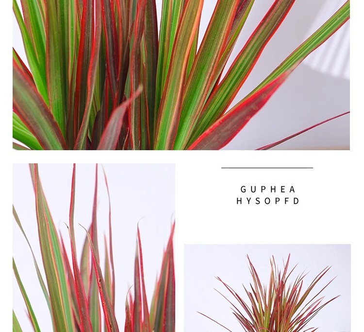 a223cffd-c853-40ab-bd48-ae7840e1990d.jpe