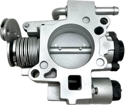 2000-2005 3.1L 3.4L – Drossel