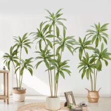 ���ͷ���Gֲ�콶��͏d�҃ȷ������ؔ[�����޾Ƶ�����٘��b�