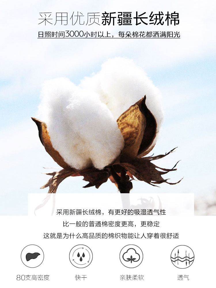 O1CN01FLSVuN1FAJEEIhXR0_!!2093