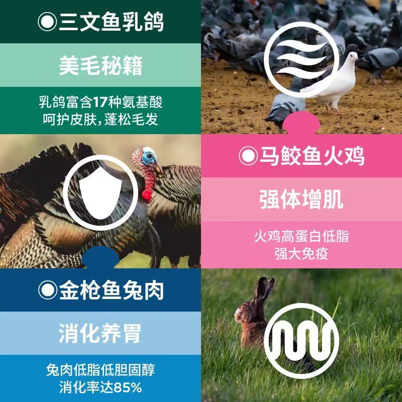 蓝/氏全主食餐盒猫粮蒸鲜猫饭主食猫罐头幼猫湿粮猫主食汤罐