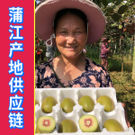 四川蒲江红心猕猴桃 奇异果弥猴桃水果蒲江产地直发代发超市渠道