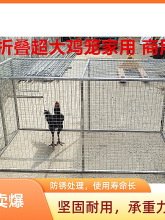 新款斗鸡笼大号批发斗鸡笼折叠斗鸡罩笼大号折叠鸡笼家用斗鸡用品