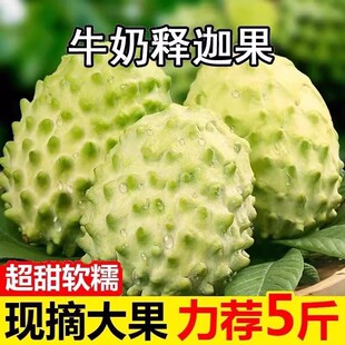 ţ���P������ˮ�����r��������֦��ȹ� ���l