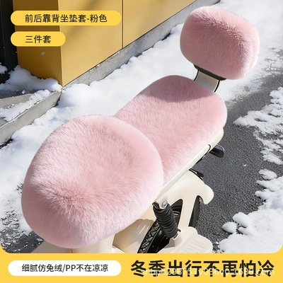 Electric car cushion – Model for Electric Scooters - front-seat-rear-seat-backrest-pink