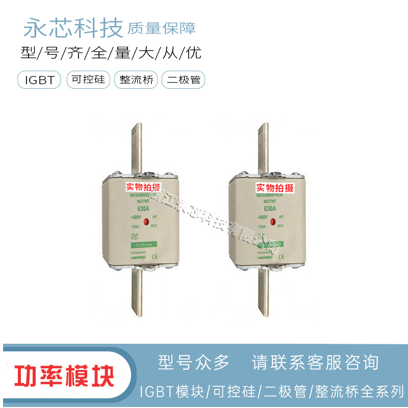 现货速发NH3AM50V425   NH3AM50V450全新原装快速熔断器 质量保障