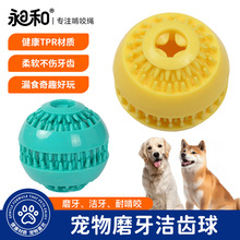 �羳����������©ʳ��ʳ���������ǻ���ĥ��С��Ȯ�������