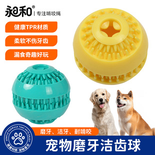 �羳����������©ʳ��ʳ���������ǻ���ĥ��С��Ȯ�������