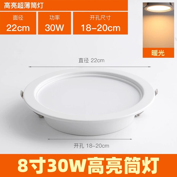 [High-brightness model] 8 inches-30W-warm light