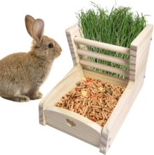 ľ�����Ӹɲ�ιʳ����ιʳ����؈����������ݲ۸ɲݷ�����ιʳ��