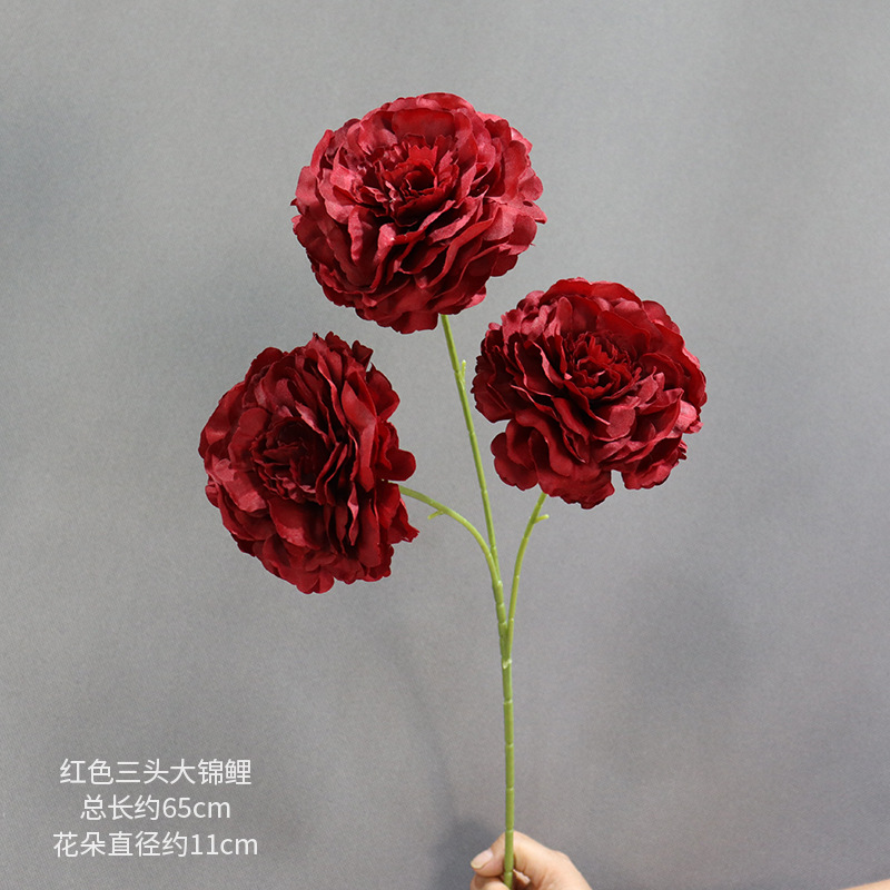 붉은색 삼두 잉어