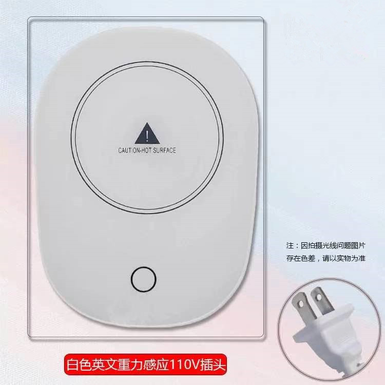 Interruptor estándar de la gravedad 110V