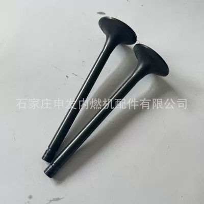 Valves and components K19 intake valve
