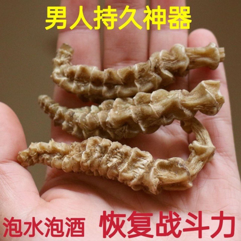 顶天柱 不老草硬的快云南野生虫草参地参 持久泡茶泡酒料配起阳草