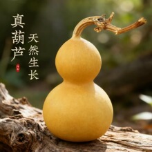 ��Ȼ���J��Ʒ���l������������С���J��ˇƷ�������J�غ��J