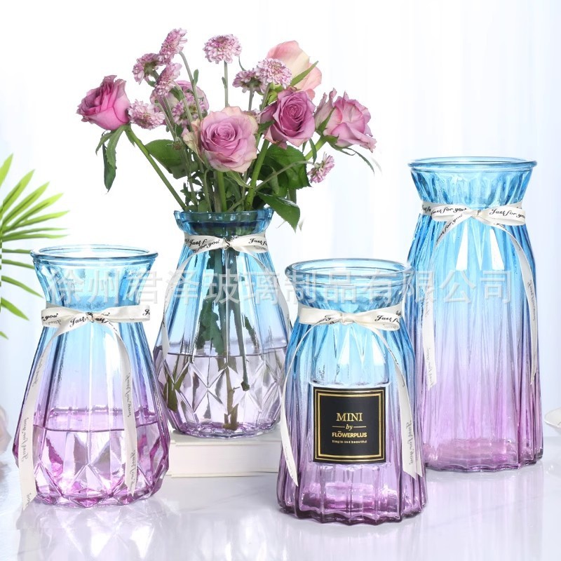 Scandinavian Creative Transparent Glass Vase Hydroponic Pothos Plant Dried Flowers Flower Vase Living Room Decoration Ornaments