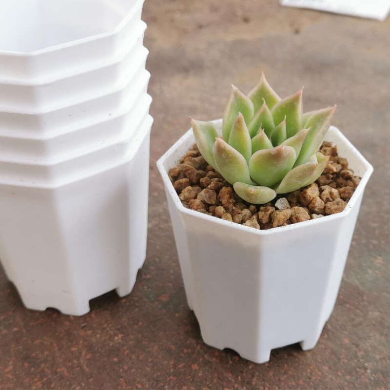 多肉植物の植木鉢、厚みのある大小の八角形の植木鉢、プラスチック卸売家庭用鉢植え葉挿し苗ポット、直販卸売|undefined