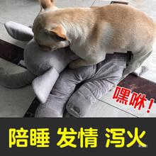 狗狗玩具耐咬幼犬法斗毛绒陪睡伴侣泰迪宠物发情发泄期公狗猫用品