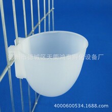 ����ιʳ������ɳ������ɳ����ɰ�������þ� ����ɰ�� ʳ�� ʳ��