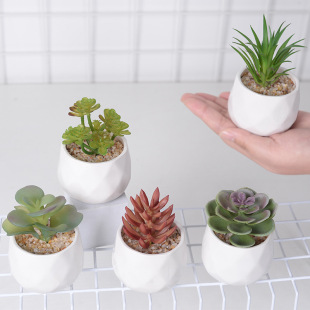 ���Ʒ������ֲ������մ���΢���^�辰ֲ���b�Ʒ�����Ɣ[��DIY