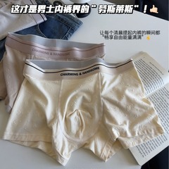 Cotton Men's Underwear with Wide Waistband Lettered Simple Antimicrobial gusset Straight Leg Men's Knit Breathable Youth Underpants