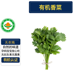 �ЙC��� �ЙC�J�C�o�r�� �Fժ�Ȱl�r���߲˛���ե֭
