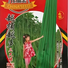 ���߾G���h���L���ǷN���ļ����t�����o�ܶ� ܿ�ⶹ���� �ض�����