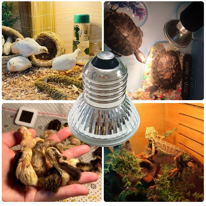 Ruuding Chicken Guarantee Light Chicken Chicken Heating Passing Winter Temperature Farm Temperature Control Temperature Control heating bulb