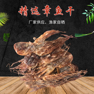 �S�ҹ���ī�~�ɸ�؛�����뵭��С�д�̖ɢ�b���\Ŀ�~500G���b���l