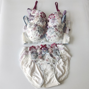 2025 New Seasonal Japanese-Style Embroidered Lace Heart-Shaped Women's Bra and Panty Set